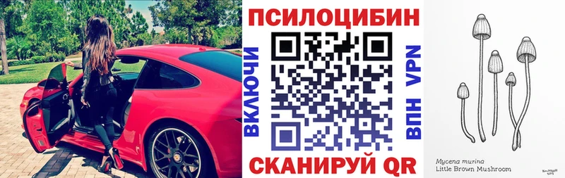 как найти Ишимбай ОМГ ОМГ tor даркнет телеграм Галлюциногенные грибы мицелий